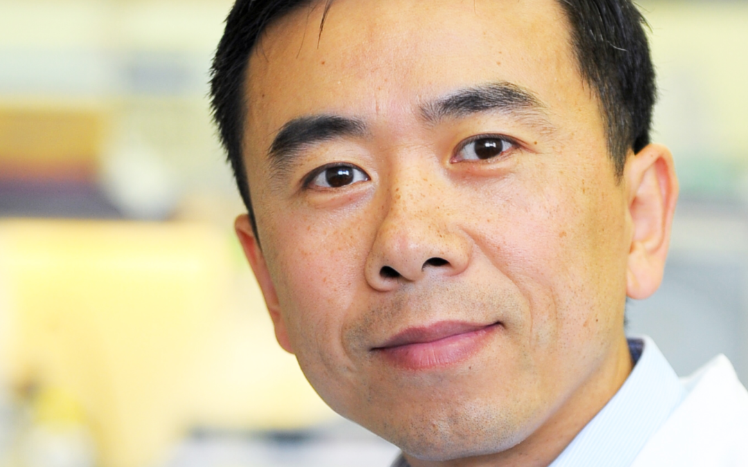Researcher Spotlight: Yong Yu, Ph.D.