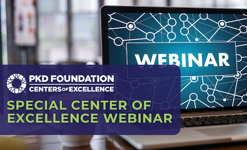 Rogosin Advanced Research Series