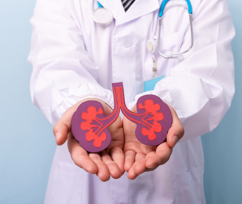 5 Important Kidney Topics for National Donor Day