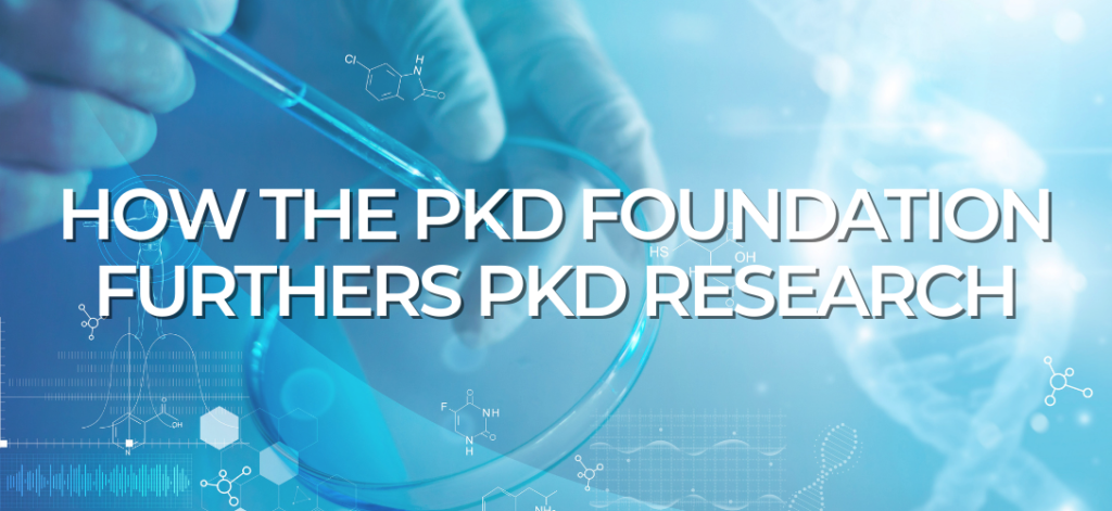 How the PKD Foundation Furthers PKD Research
