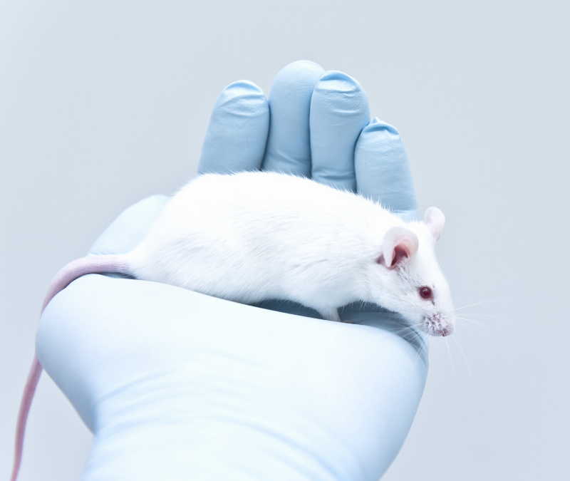 Promising ADPKD Research in Preclinical Mice Models