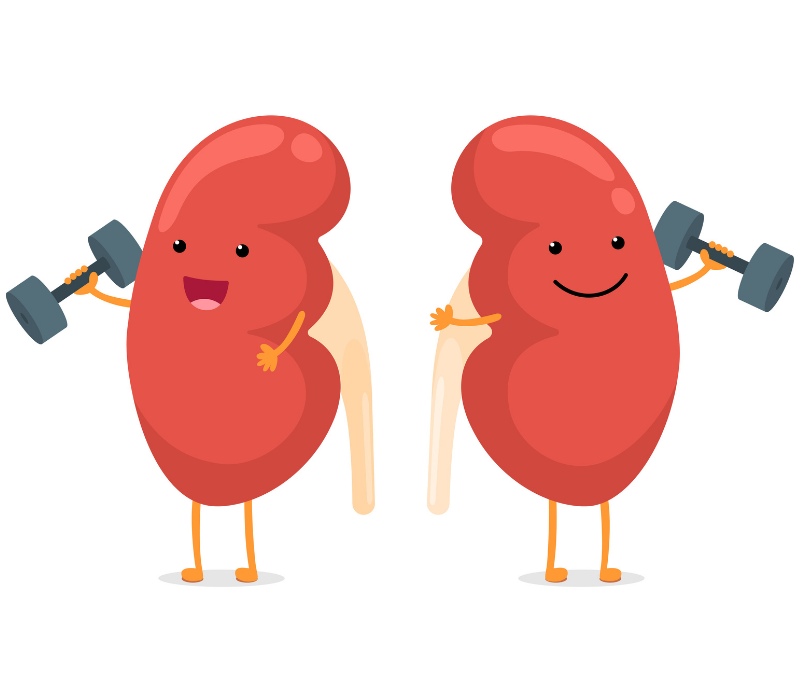 World Kidney Day: Know Your Kidneys