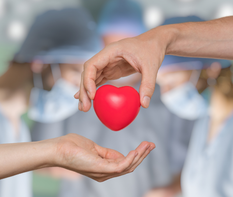 The Living Donor Protection Act: What You Need to Know