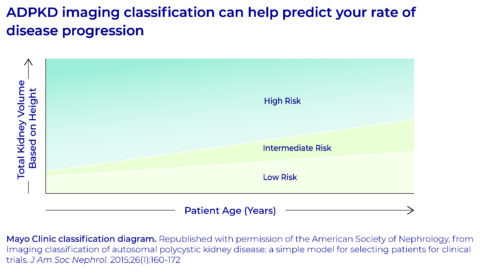 What Are The Stages Of ADPKD? | PKD Foundation