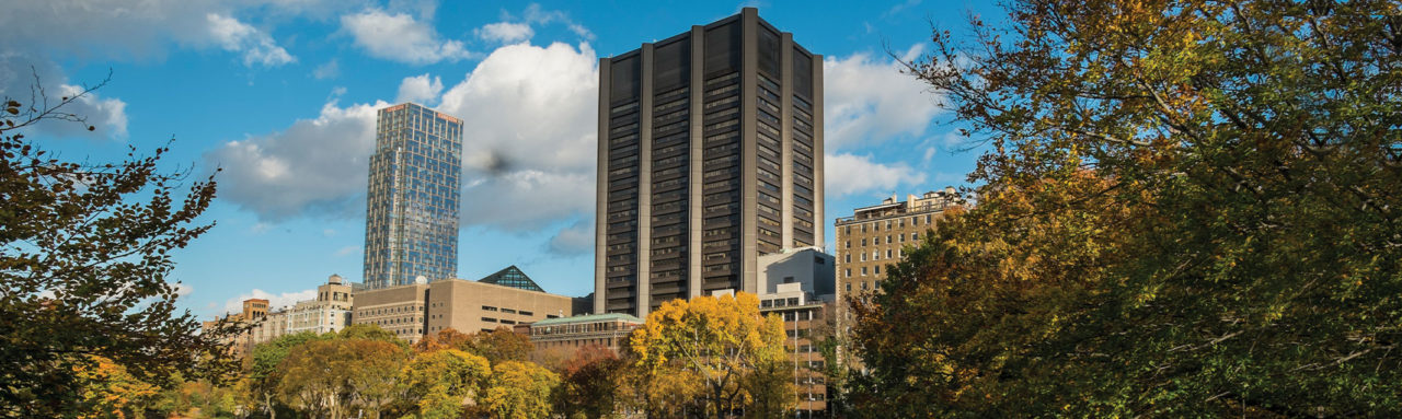 Icahn School of Medicine at Mount Sinai PKD Foundation Icahn School of Medicine at Mount Sinai PKD Foundation
