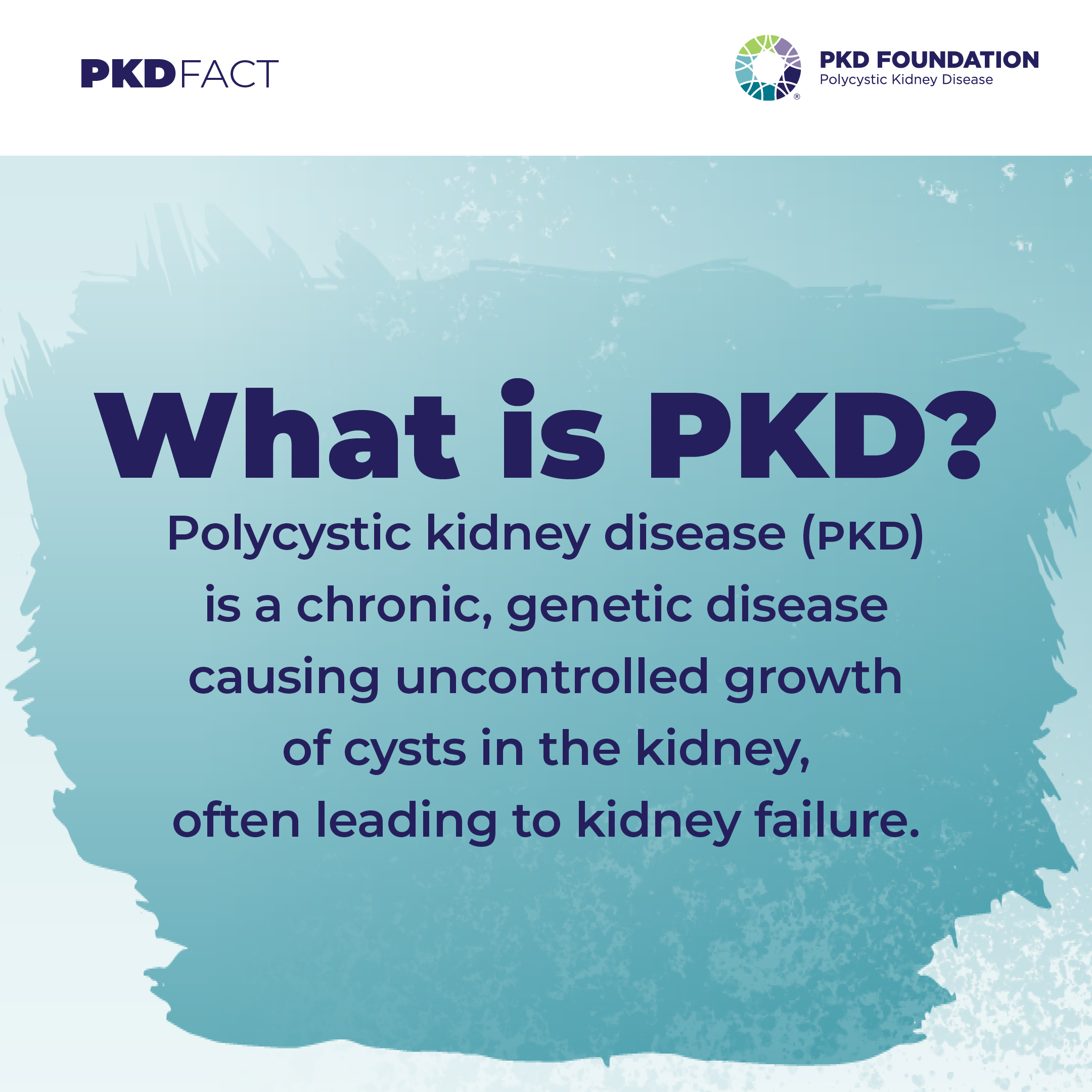 Kidney Month PKD Foundation
