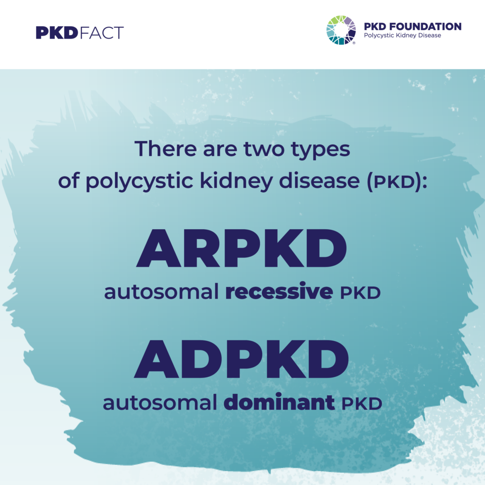 PKD Facts PKD Foundation