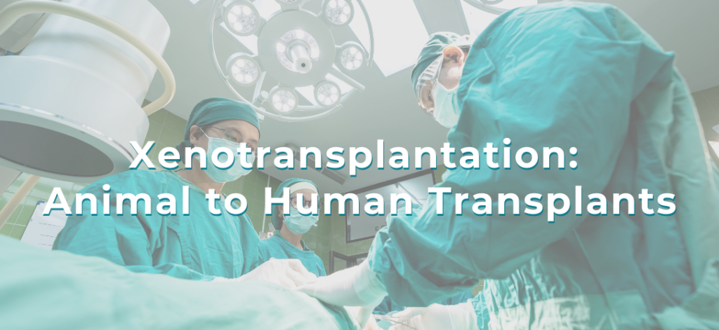 Xenotransplantation Blog Banner